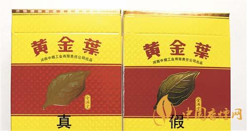 如何辨別黃金葉金滿堂真假？2020黃金葉真假辨別詳情對(duì)比