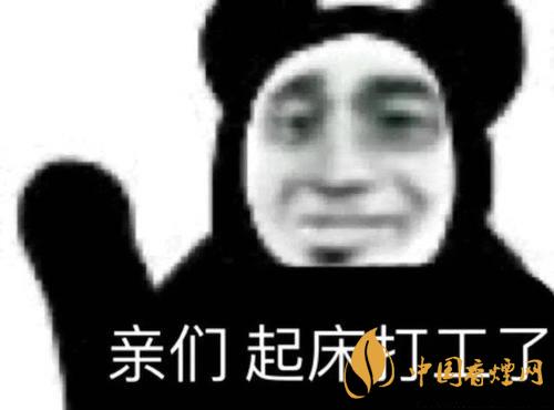 早安打工人是什么梗？早安打工人梗語錄大全
