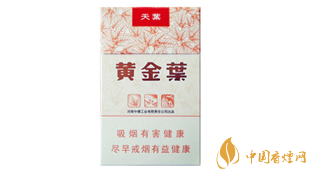 黃金葉天葉真假怎樣區(qū)分？黃金葉天葉真假識別