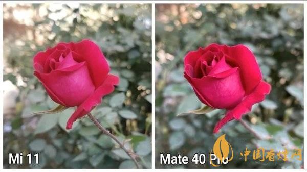 小米11和華為Mate40Pro哪個(gè)拍照好-拍照評(píng)測