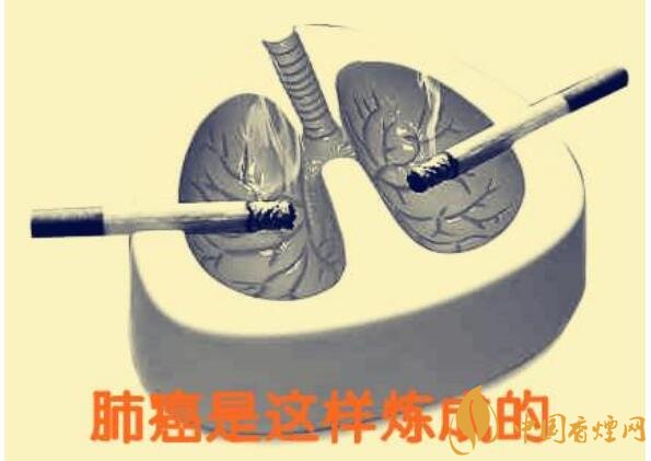 吸煙致癌嗎(還會引起急性中毒) 吸煙致癌有科學依據