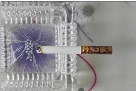 黃鶴樓漫天游，除了短貴沒別的毛病