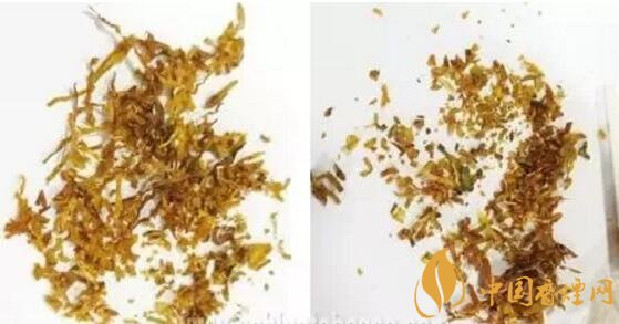 冬蟲夏草（和潤(rùn)）真假鑒別，春節(jié)防止被騙
