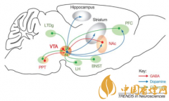 煙癮是什么 煙癮犯了怎么辦！