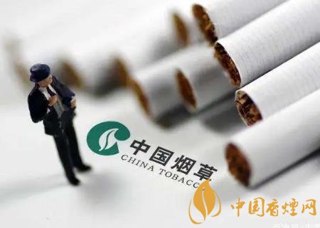 2020將通過提稅和漲價(jià)來控?zé)?維護(hù)公共場(chǎng)所健康！